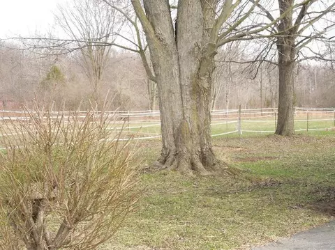 8660 Talladay Rd, Whittaker, MI 48190 photo 23
