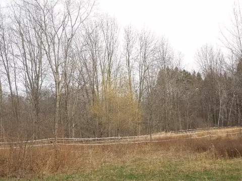 8660 Talladay Rd, Whittaker, MI 48190 photo 27