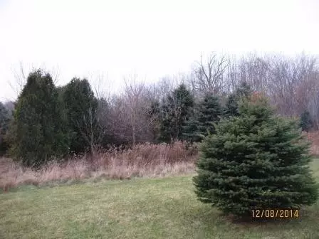 9357 Gross Rd, Dexter, MI 48130 photo 22
