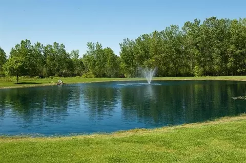10595 Woodslee, Carleton, MI 48117 photo 45