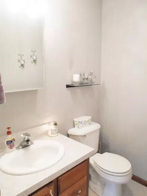 11990 Oelke Rd, Maybee, MI 48159 photo 11