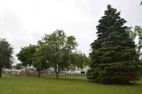6295 Joy Rd, Dexter, MI 48130 photo 4