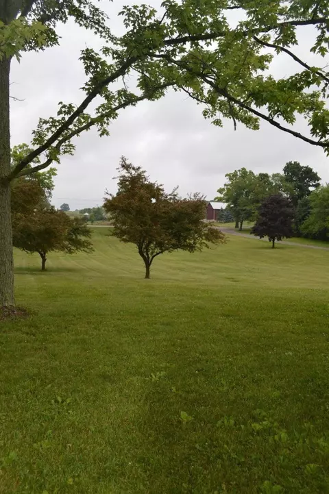 6295 Joy Rd, Dexter, MI 48130 photo 3