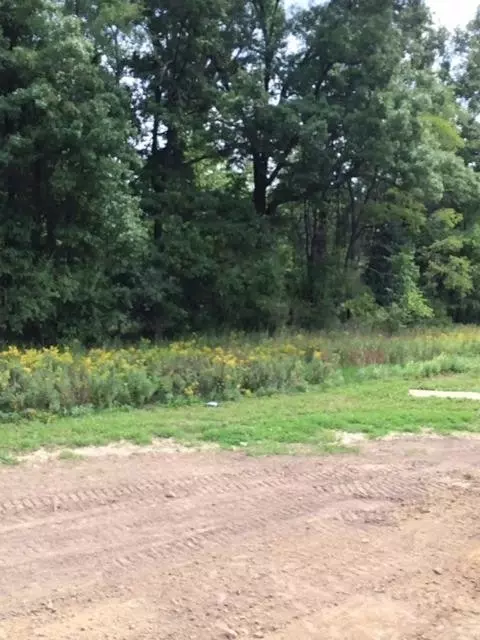 5790 Libby Ct, Dexter, MI 48130 photo 3