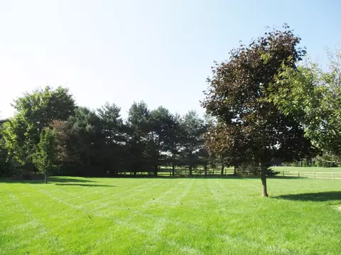 551 W Willis, Saline, MI 48176 photo 4