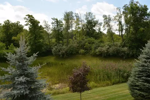 701 Coventry Ct, Saline, MI 48176 photo 8