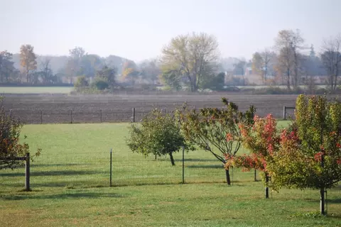 5303 Hack Rd, Britton, MI 49229 photo 6