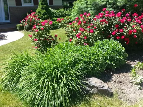 6690 Ball Rd, Romulus, MI 48174 photo 2