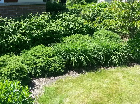 6690 Ball Rd, Romulus, MI 48174 photo 5