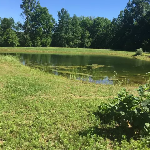 13168 Eggert, Dundee, MI 48131 photo 10