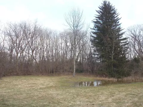 3578 E Pineview Dr, Dexter, MI 48130 photo 55