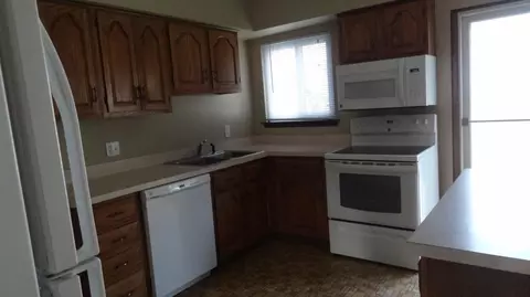 1002 Watson Dr, Saline, MI 48176 photo 13