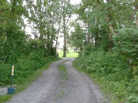 6373 Hellner Rd, Ann Arbor, MI 48105 photo 5
