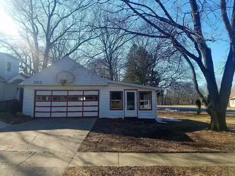 203 Brown, Tecumseh, MI 49286 photo 9