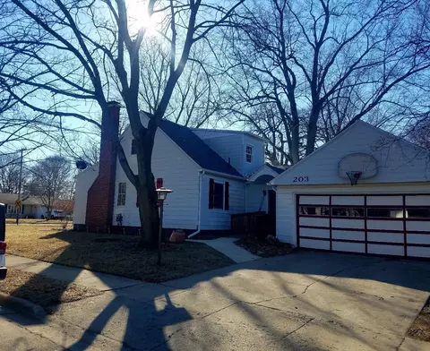 203 Brown, Tecumseh, MI 49286 photo 2
