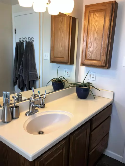 105 Sheffield, Saline, MI 48176 photo 16