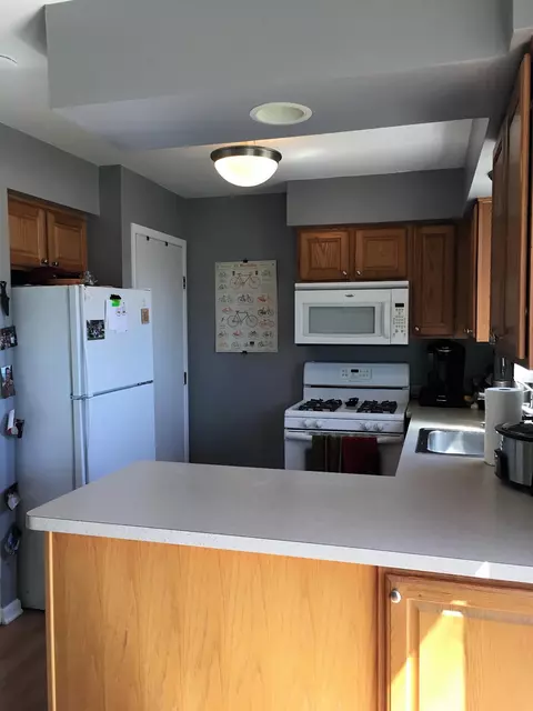 105 Sheffield, Saline, MI 48176 photo 6
