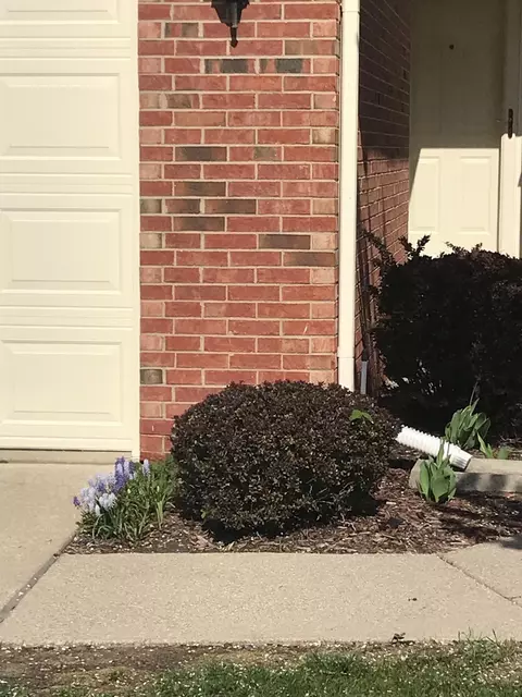 1763 Christopher Dr, Canton, MI 48188 photo 3