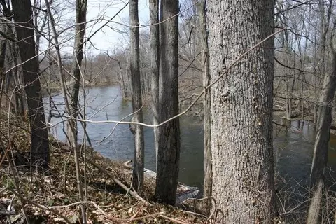 8036 Huron St, Dexter, MI 48130 photo 23