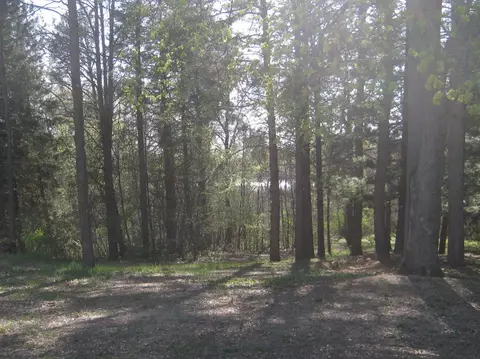 9142 Chilson, Brighton, MI 48116 photo 5