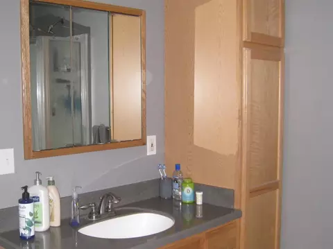 9142 Chilson, Brighton, MI 48116 photo 45