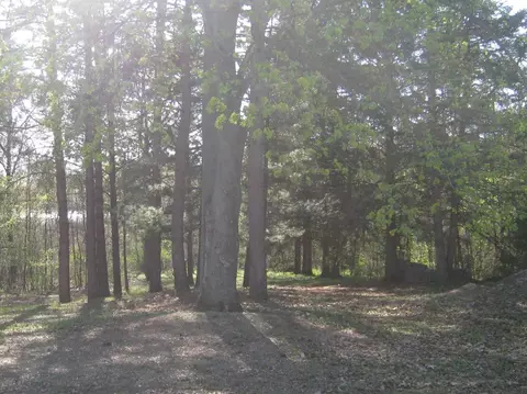 9142 Chilson, Brighton, MI 48116 photo 7