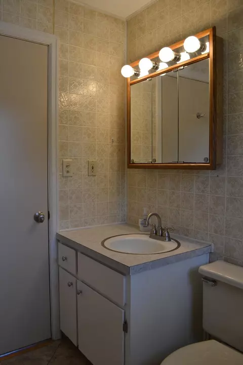 125 E Fourth St, Onsted, MI 49265 photo 18