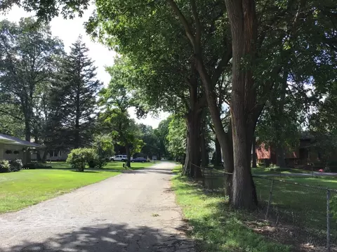 11244 Olive St, Romulus, MI 48174 photo 5