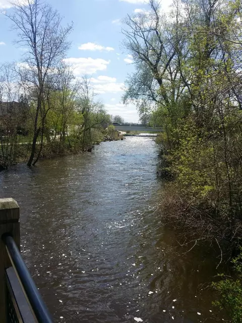 7727 Huron River Dr, Dexter, MI 48130 photo 9