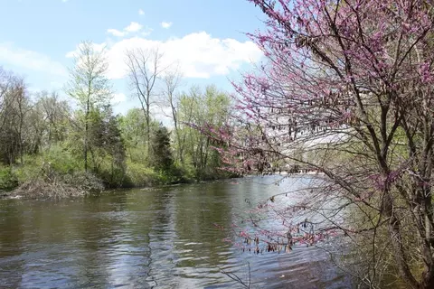 10033 Huron River Dr, Dexter, MI 48130 photo 13
