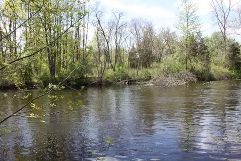 10033 Huron River Dr, Dexter, MI 48130 photo 14