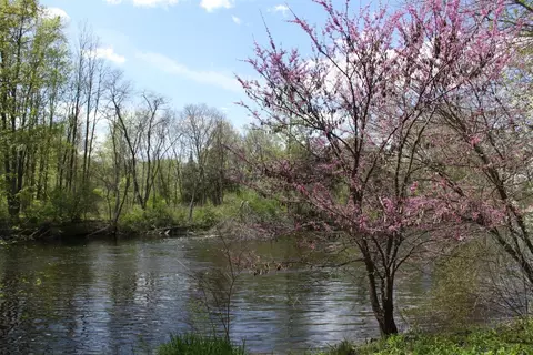10033 Huron River Dr, Dexter, MI 48130 photo 12