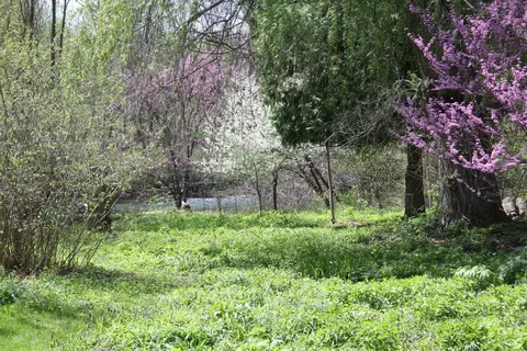 10033 Huron River Dr, Dexter, MI 48130 photo 10