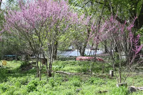 10033 Huron River Dr, Dexter, MI 48130 photo 9