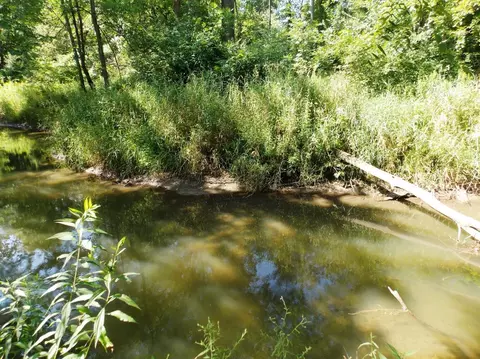 11516 Tuttle Hill Rd, Willis, MI 48191 photo 38
