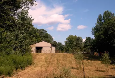11516 Tuttle Hill Rd, Willis, MI 48191 photo 37