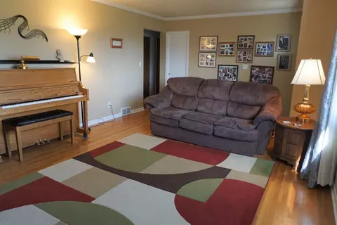 12470 Trinkle Rd, Dexter, MI 48130 photo 3