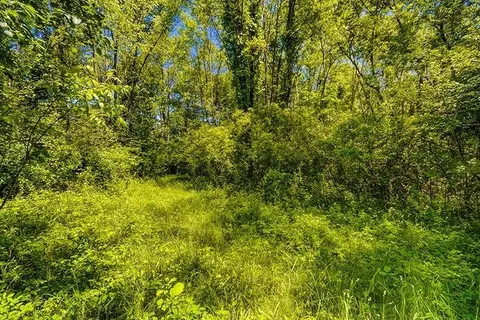 6694 Benton Rd, Jackson, MI 49201 photo 40