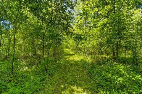 6694 Benton Rd, Jackson, MI 49201 photo 41