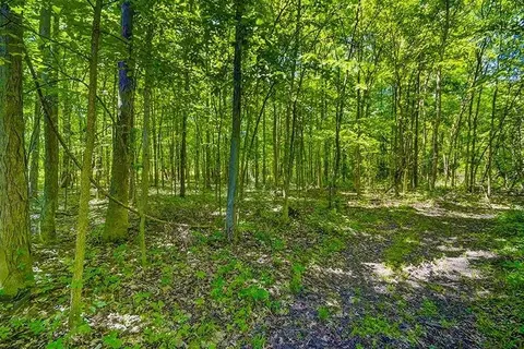 6694 Benton Rd, Jackson, MI 49201 photo 42