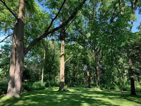1780 Baker Rd, Dexter, MI 48130 photo 44