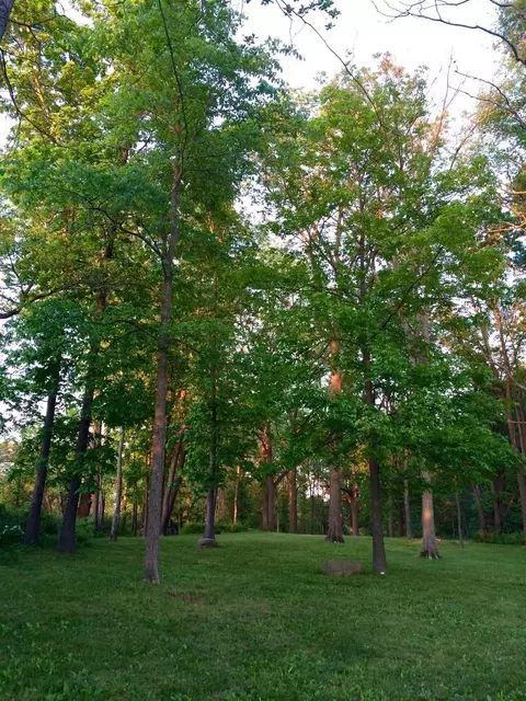 1780 Baker Rd, Dexter, MI 48130 photo 38