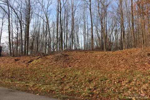 0 Lindsey Unit 13 Rd, Jackson, MI 49201