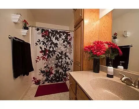 348 Willis, Saline, MI 48176 photo 18