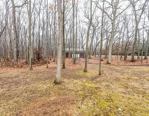 7055 Wheaton, Jackson, MI 49201 photo 38