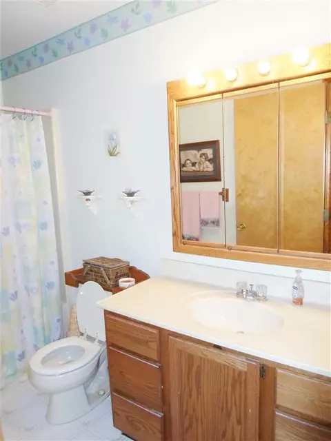 4162 Crescent Vw, Tecumseh, MI 49286 photo 17