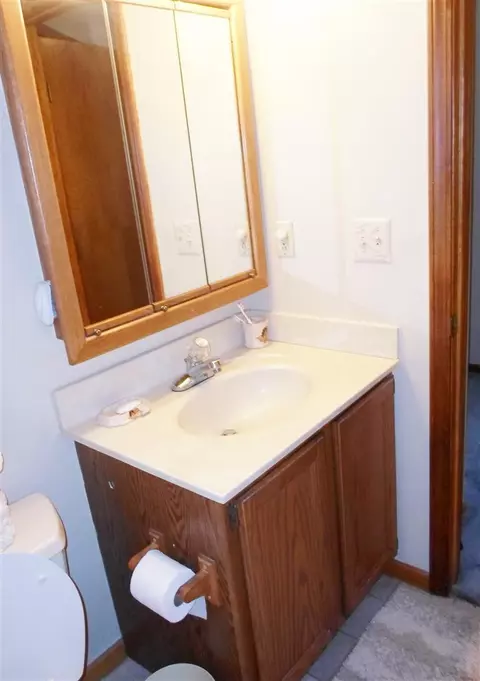 4162 Crescent Vw, Tecumseh, MI 49286 photo 24