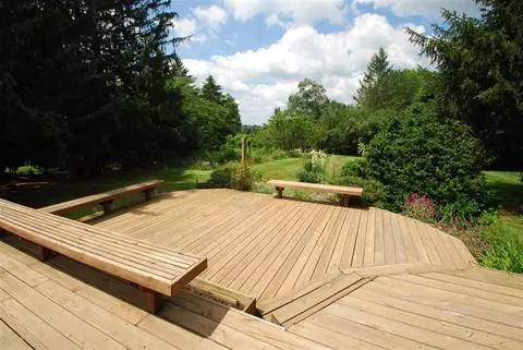 3537 E Pineview Dr, Dexter, MI 48130 photo 20
