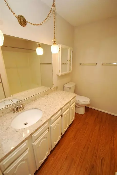 3537 E Pineview Dr, Dexter, MI 48130 photo 12