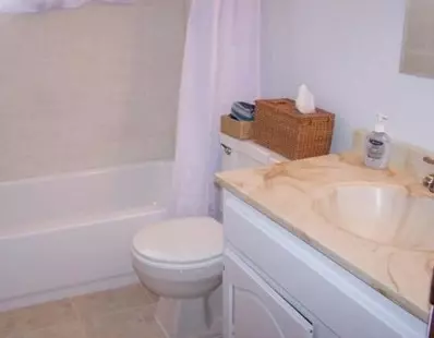 176 Wallace, Saline, MI 48176 photo 9